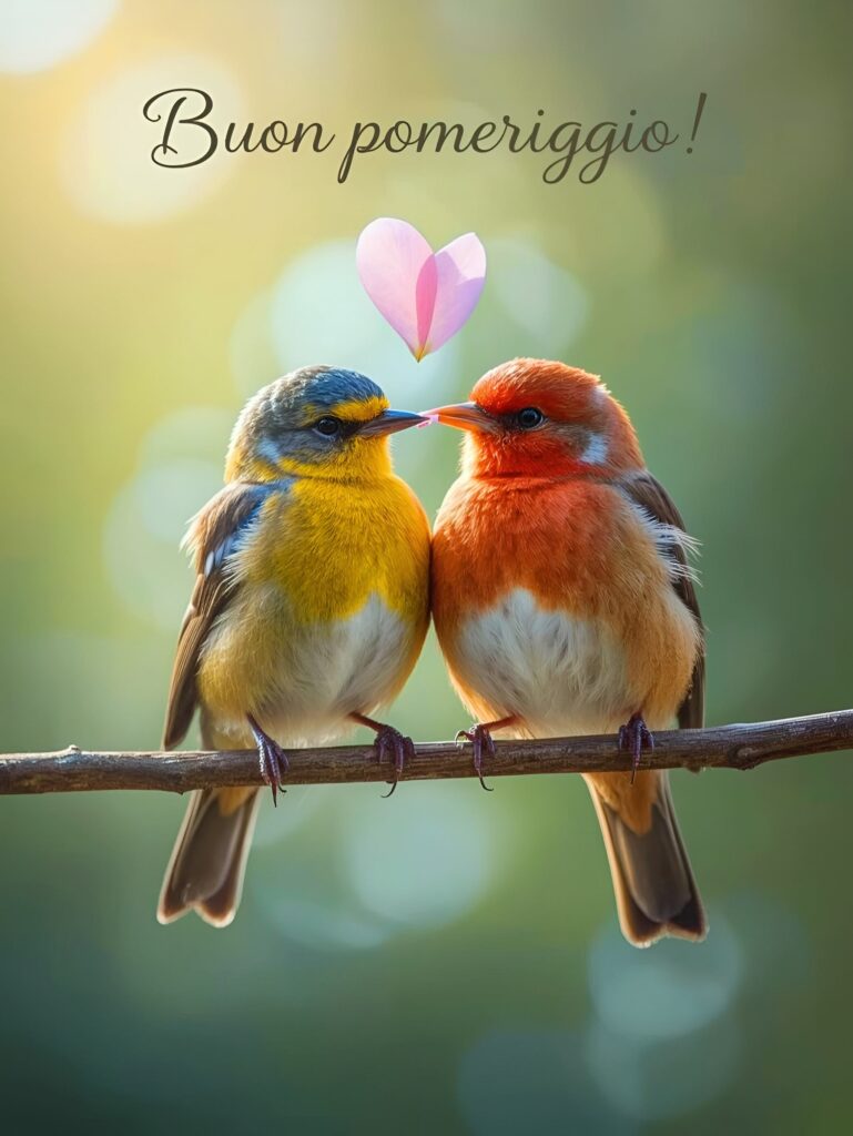 Buon pomeriggio (17)