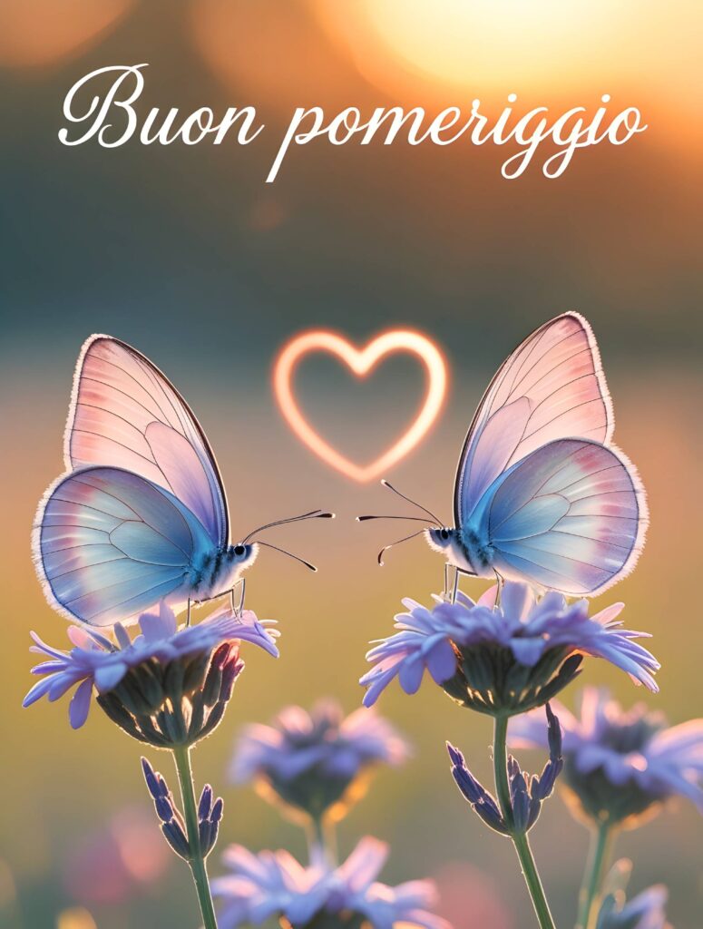 Buon pomeriggio (18)