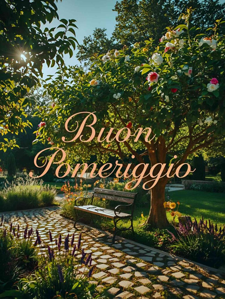 Buon pomeriggio (19)