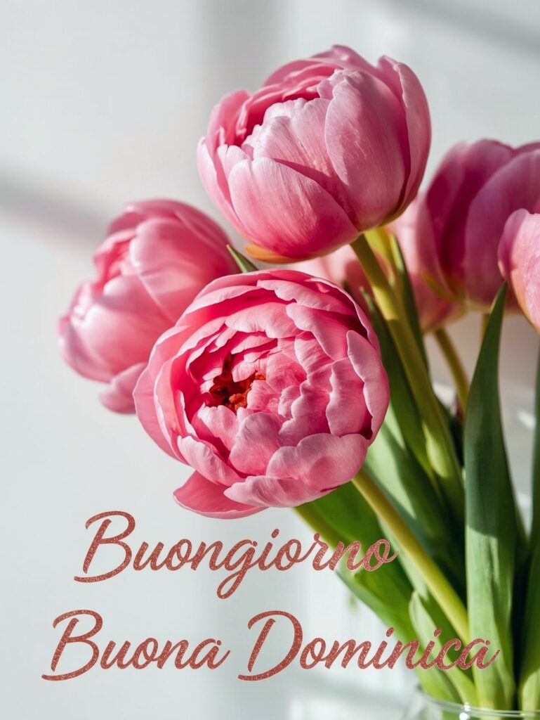 buona domenica immagini (13)