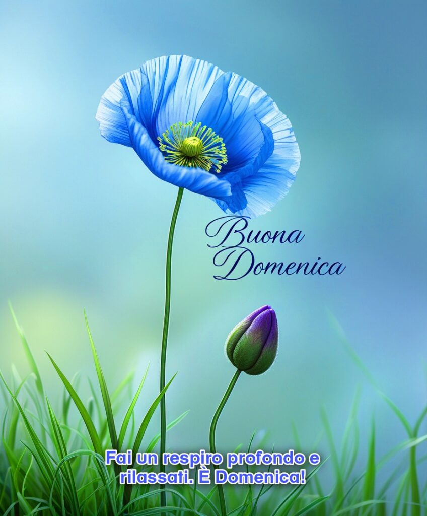 buona domenica immagini (16)