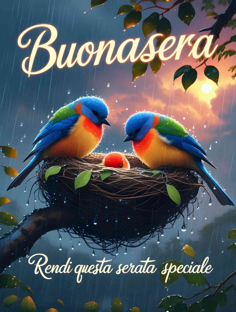 buonasera immagini nuove (1)