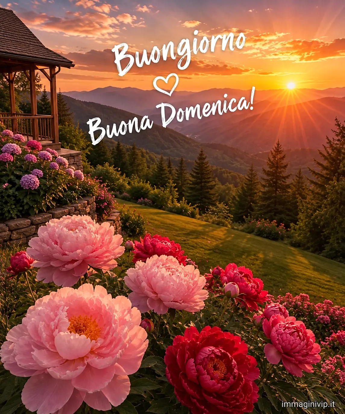 buongiorno buona domenica ()