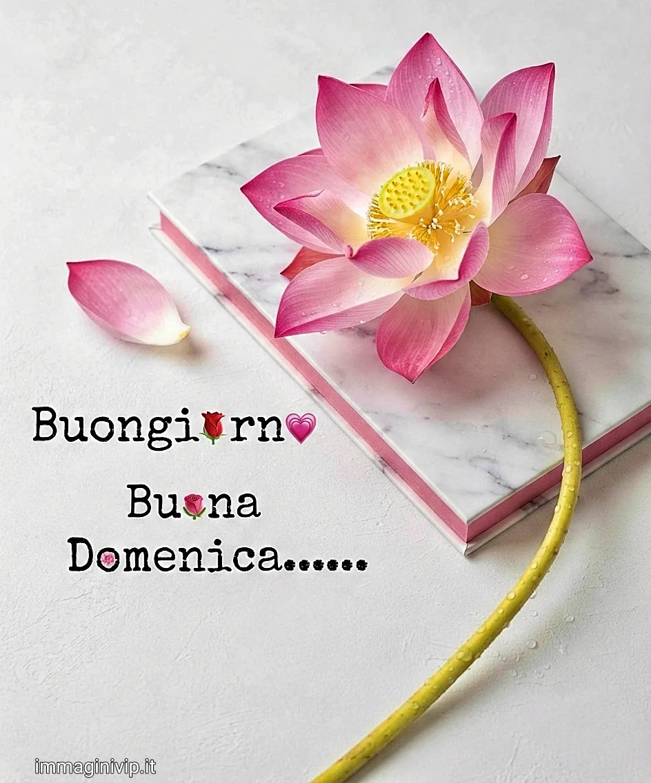 buongiorno buona domenica ()