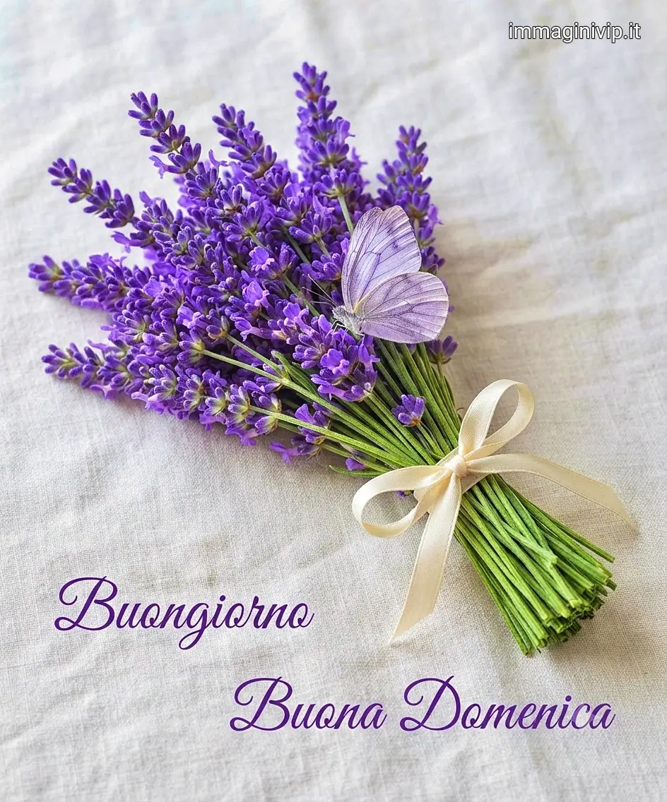 immagini buona domenica ()